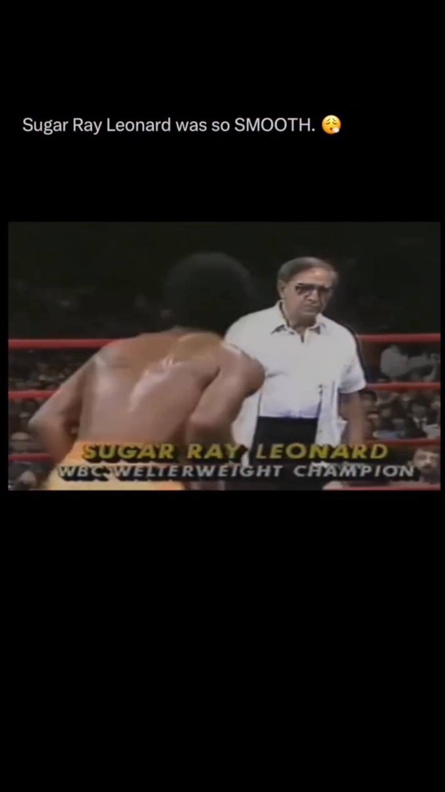 Gambar mini untuk sugar ray leonard boxing